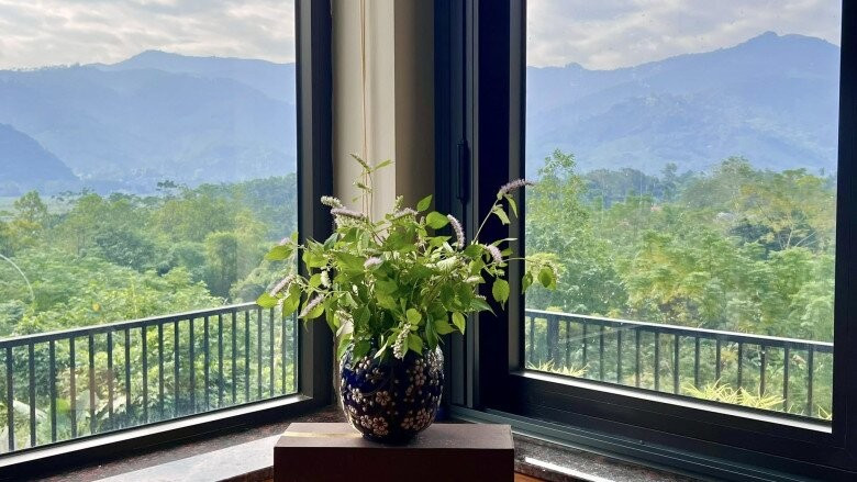 MC Diễm Quỳnh có khu vườn mùa đông đầy sắc màu tuyệt đẹp - Ảnh 18.