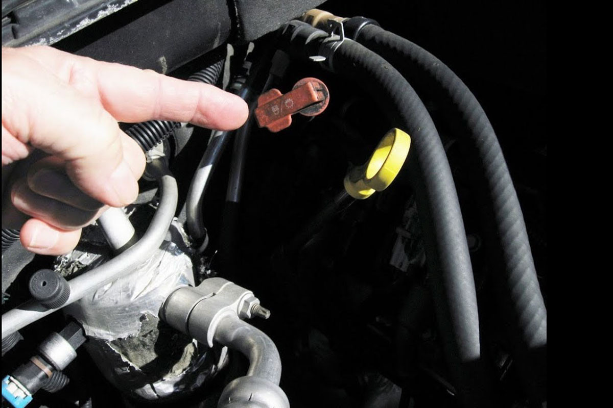 que tham dau hop so.jpg