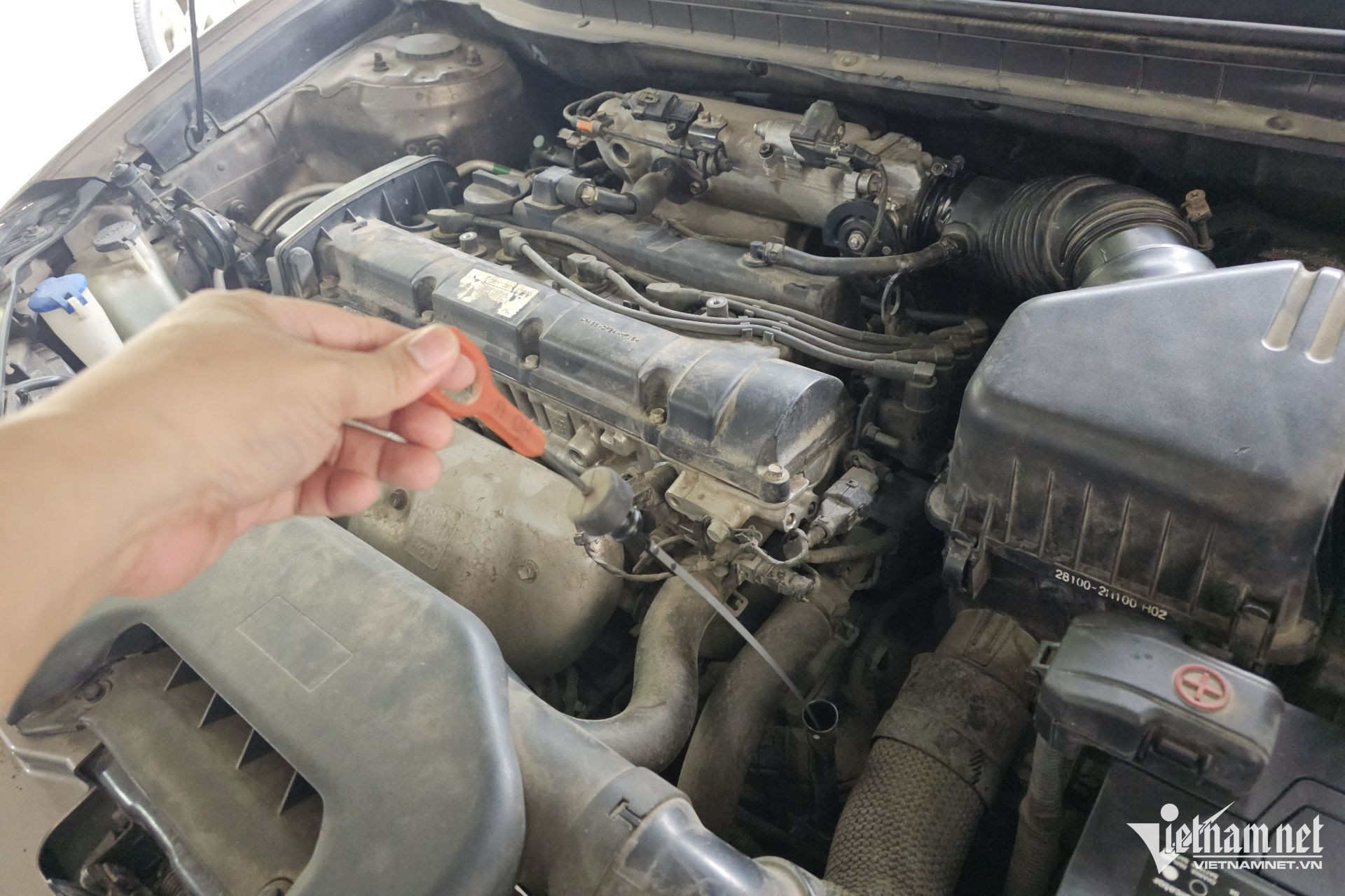 W-que tham dau hop so.jpg