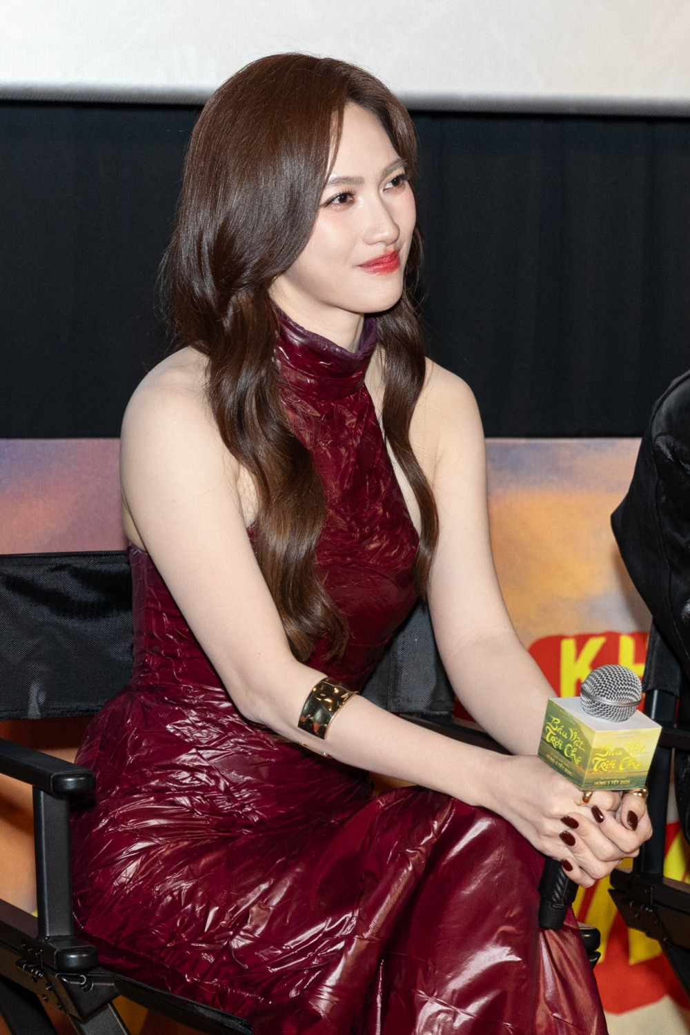 tuan tran phuong anh dao 2.jpg