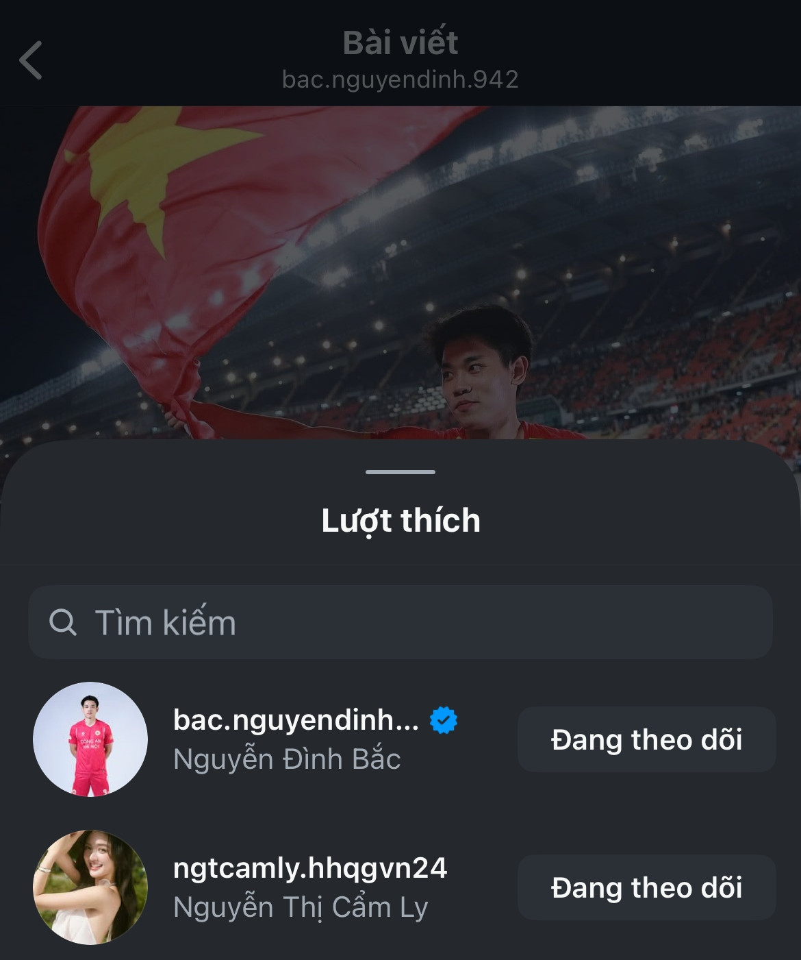 Á hậu Cẩm Ly: Nàng thơ khiến cộng đồng mạng gọi tên Đình Bắc nhiều nhất lúc này - Ảnh 4.