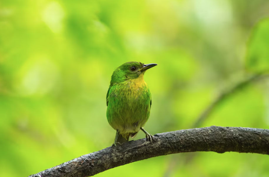 Sinh đúng khung giờ vượng công danh: Sếp trọng dụng, dễ lên chức - Ảnh 1.