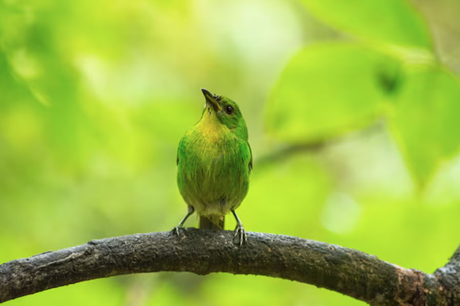 Sinh đúng khung giờ vượng công danh: Sếp trọng dụng, dễ lên chức - Ảnh 3.