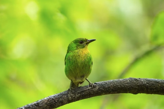 Sinh đúng khung giờ vượng công danh: Sếp trọng dụng, dễ lên chức