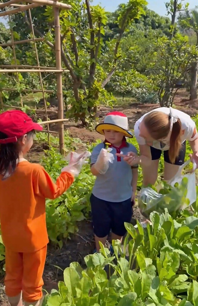 Khu vườn xanh mướt của Chi Bảo và vợ trẻ: Không gian sống lý tưởng tại TP . HCM - Ảnh 8.