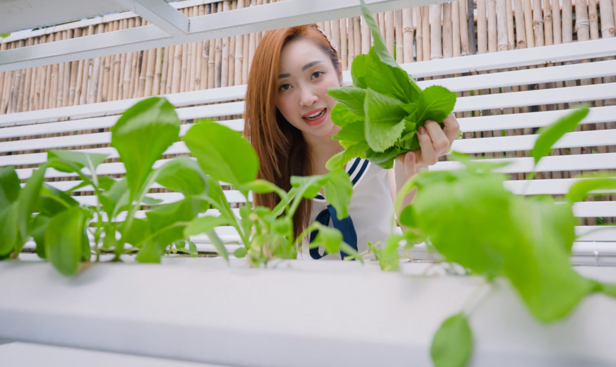 Khu vườn xanh mướt của Chi Bảo và vợ trẻ: Không gian sống lý tưởng tại TP . HCM - Ảnh 13.