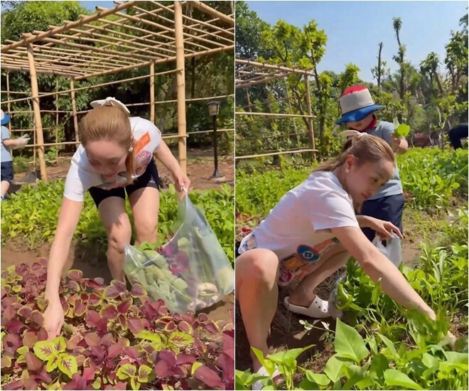 Khu vườn xanh mướt của Chi Bảo và vợ trẻ: Không gian sống lý tưởng tại TP . HCM - Ảnh 3.