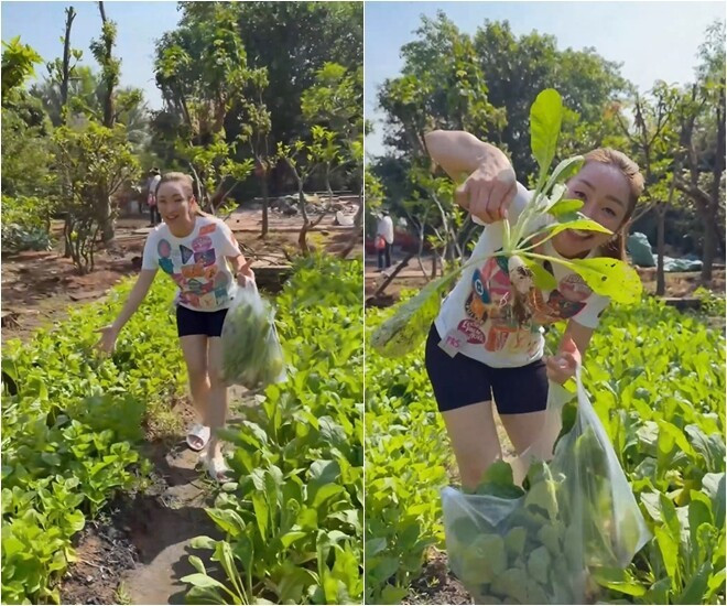 Khu vườn xanh mướt của Chi Bảo và vợ trẻ: Không gian sống lý tưởng tại TP . HCM - Ảnh 4.