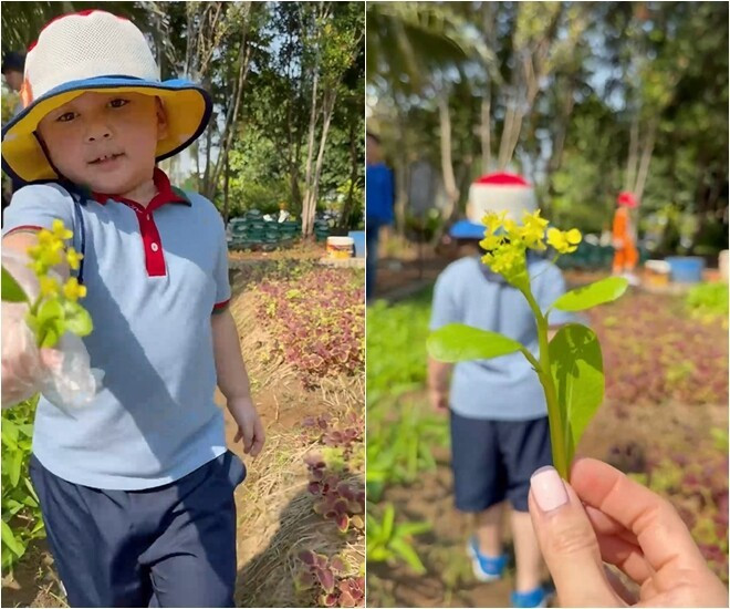 Khu vườn xanh mướt của Chi Bảo và vợ trẻ: Không gian sống lý tưởng tại TP . HCM - Ảnh 1.