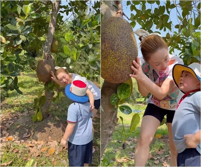 Khu vườn xanh mướt của Chi Bảo và vợ trẻ: Không gian sống lý tưởng tại TP . HCM - Ảnh 7.