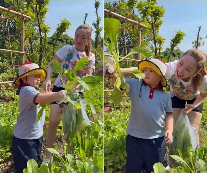 Khu vườn xanh mướt của Chi Bảo và vợ trẻ: Không gian sống lý tưởng tại TP . HCM - Ảnh 2.