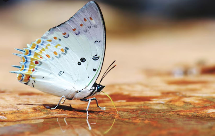 Tử vi tiết lộ 5 khung giờ sinh được coi là 'mệnh có của' - Ảnh 4.