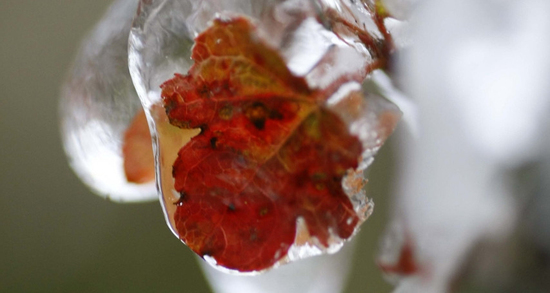 Tin không khí lạnh mới nhất: Miền Bắc ghi nhận hàng loạt điểm dưới 10 độ