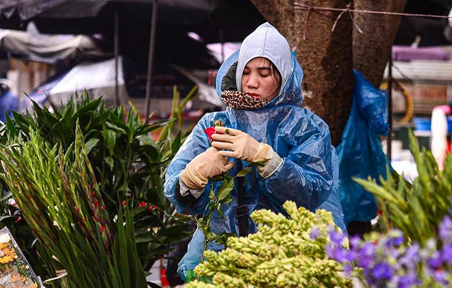 Dự báo thời tiết 10 ngày tới, miền Bắc trời rét, nhiều ngày mưa phùn..