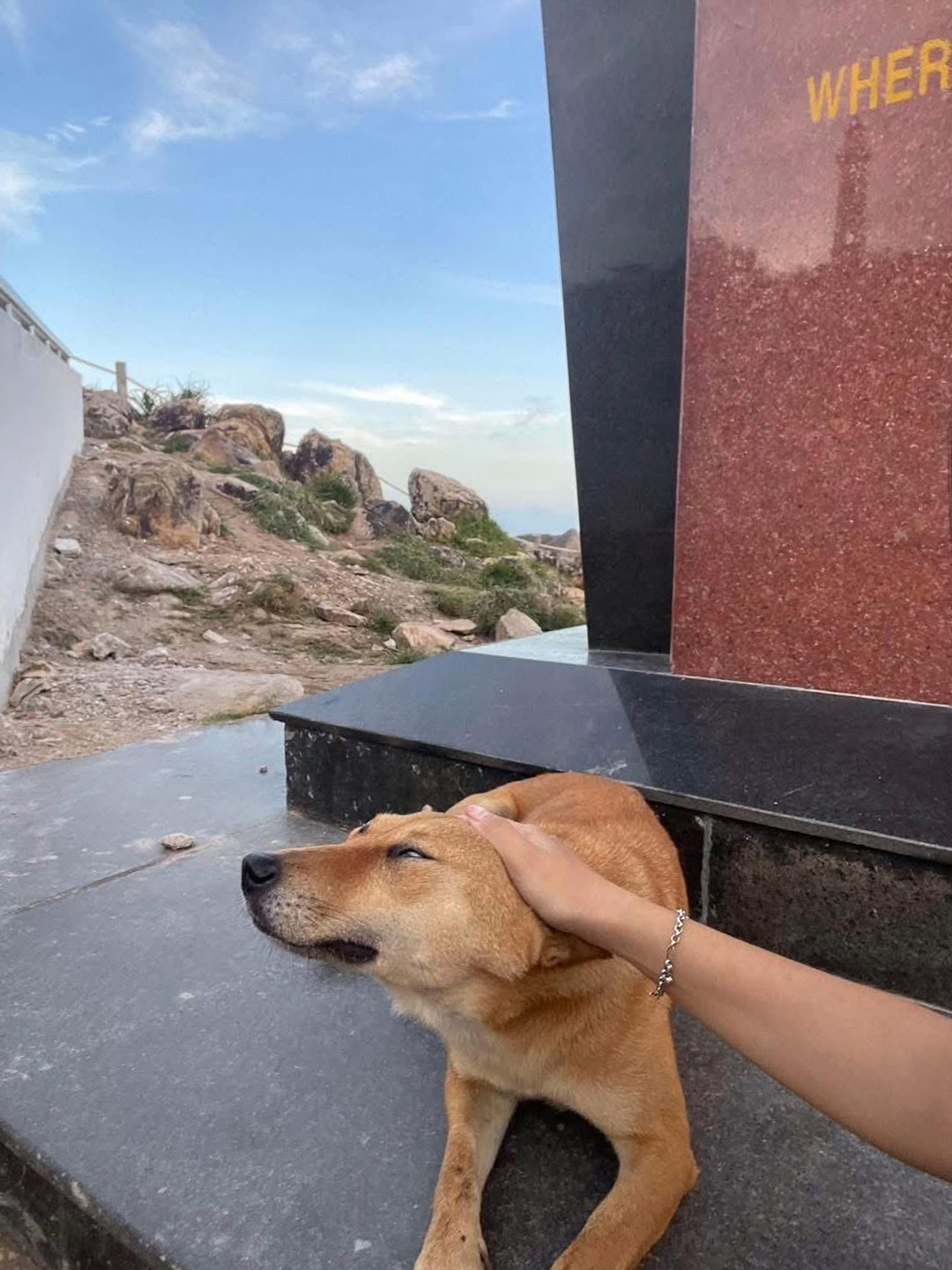 62235803614289965319231054865537292294555039n copy