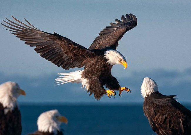 image3 1633053501 496 width650height460