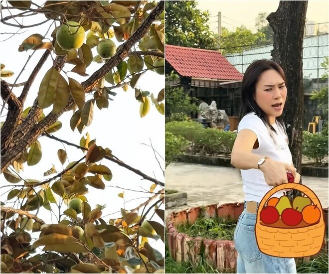 Cảnh Tượng Lần Đầu Xuất Hiện Trong Nhà Mỹ Tâm Cảnh Tượng Lần Đầu Xuất Hiện Trong Nhà Mỹ Tâm - Ảnh 8.