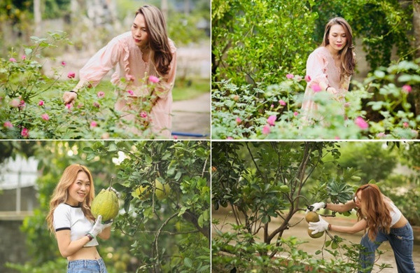 Khu Vườn Ngập Hoa Trái Trong Cơ Ngơi ‘Đi Mỏi Chân Không Hết’ Của Mỹ Tâm - Ảnh 16.