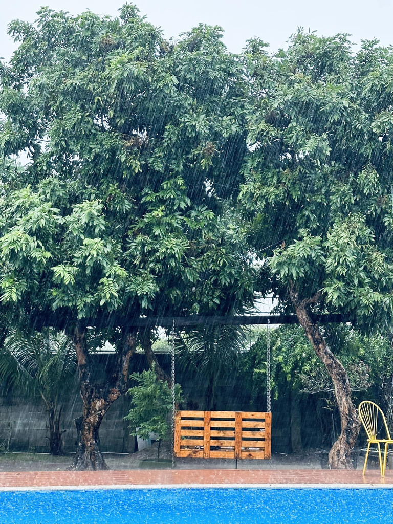 Cảnh Tượng Lần Đầu Xuất Hiện Trong Nhà Mỹ Tâm Khu Vườn Ngập Hoa Trái Trong Cơ Ngơi ‘Đi Mỏi Chân Không Hết’ Của Mỹ Tâm - Ảnh 6.