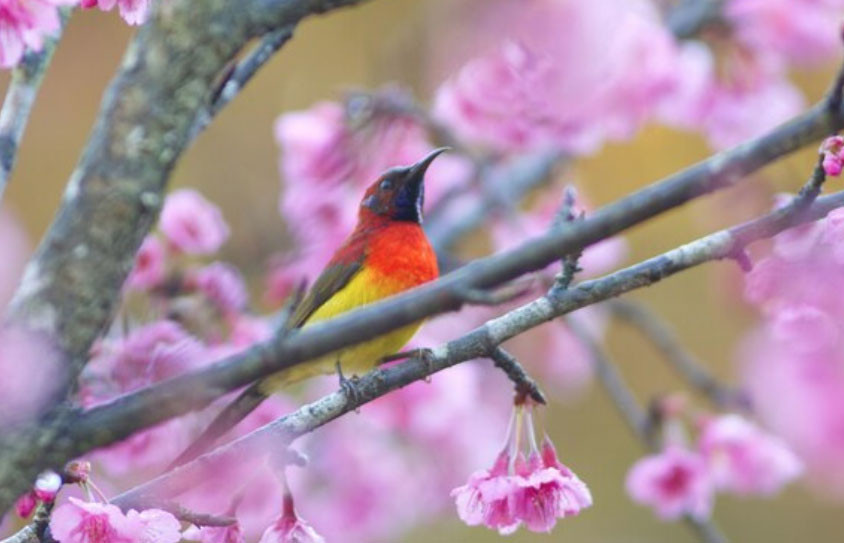 Bí mật số cuối ngày sinh Âm lịch: 4 con số được cho là hút tài lộc mạnh nhất - Ảnh 4.