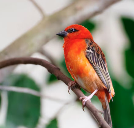 Bí mật số cuối ngày sinh Âm lịch: 4 con số được cho là hút tài lộc mạnh nhất - Ảnh 2.