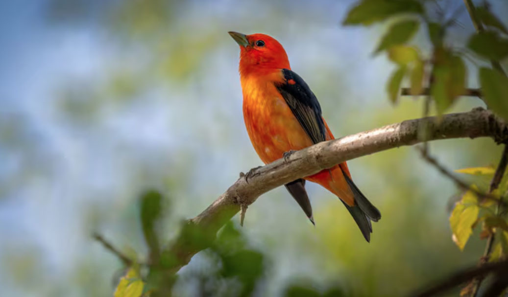 Bí mật số cuối ngày sinh Âm lịch: 4 con số được cho là hút tài lộc mạnh nhất - Ảnh 1.