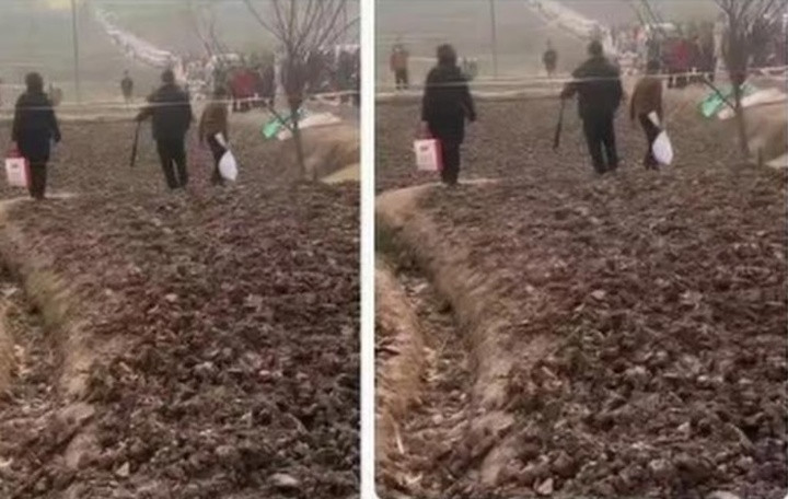 Đám đông người dân đã đến lấy đất từ ​​khu đất bên ngoài nhà của Daidai. (Ảnh: Myzaker)