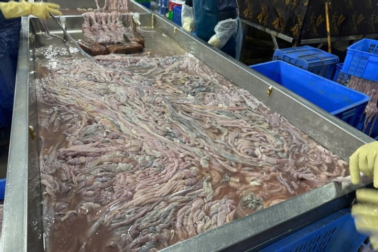 Hà Nội: Thu giữ hơn 60 tấn lòng lợn không rõ nguồn gốc tại kho đông lạnh