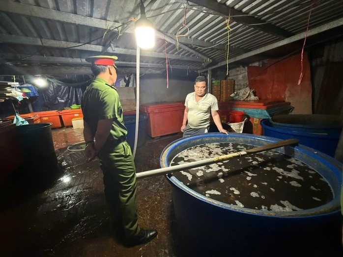 Ốc bươu bị ngâm hóa chất. (Ảnh: Cơ quan công an)