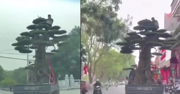 Cảnh sát xác định danh tính tài xế chở người và cây 'khủng' ở Ninh Bình