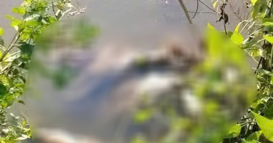 Thông tin nhói lòng vụ nữ sinh lớp 7 ở Cà Mau bị sát hại