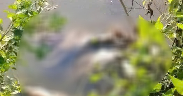 Thông tin nhói lòng vụ nữ sinh lớp 7 ở Cà Mau bị sát hại