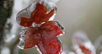 Dự báo thời tiết 5/1/2026: Đón không khí lạnh mới, miền Bắc lại chìm trong mưa rét