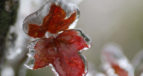 Dự báo thời tiết 5/1/2026: Đón không khí lạnh mới, miền Bắc lại chìm trong mưa rét