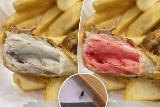 Khi AI thành công cụ lừa đảo: Khách hàng chỉnh ảnh đồ ăn hỏng để đòi hoàn tiền