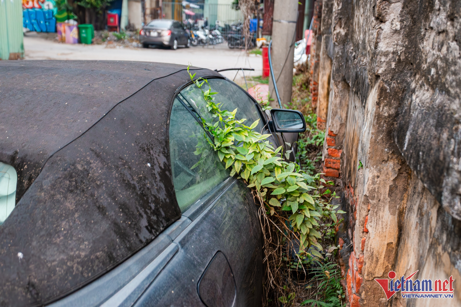 W-alpina b6 8.JPG.jpg