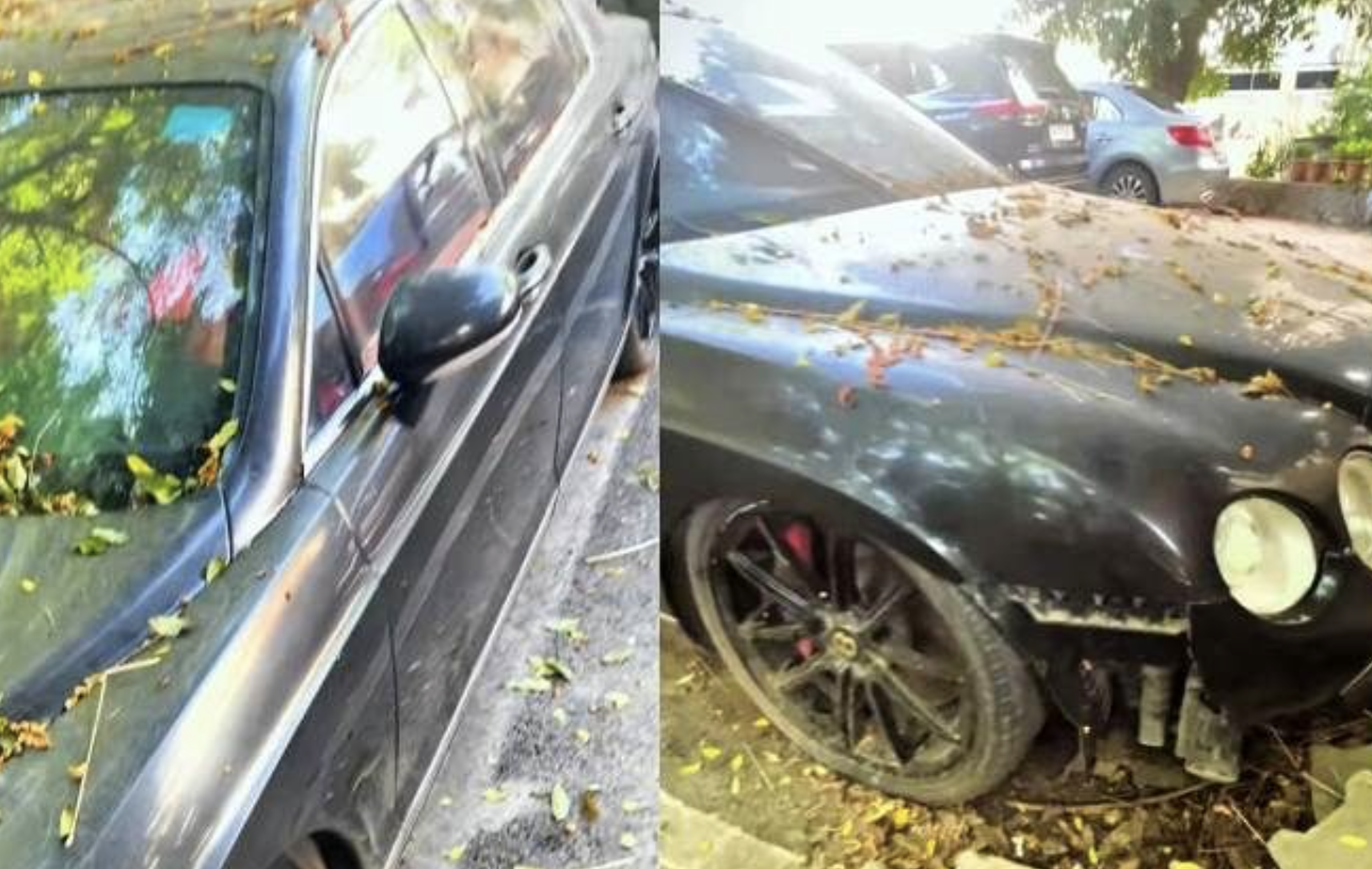 Ảnh màn hình 2026 01 05 lúc 15.26.17.png