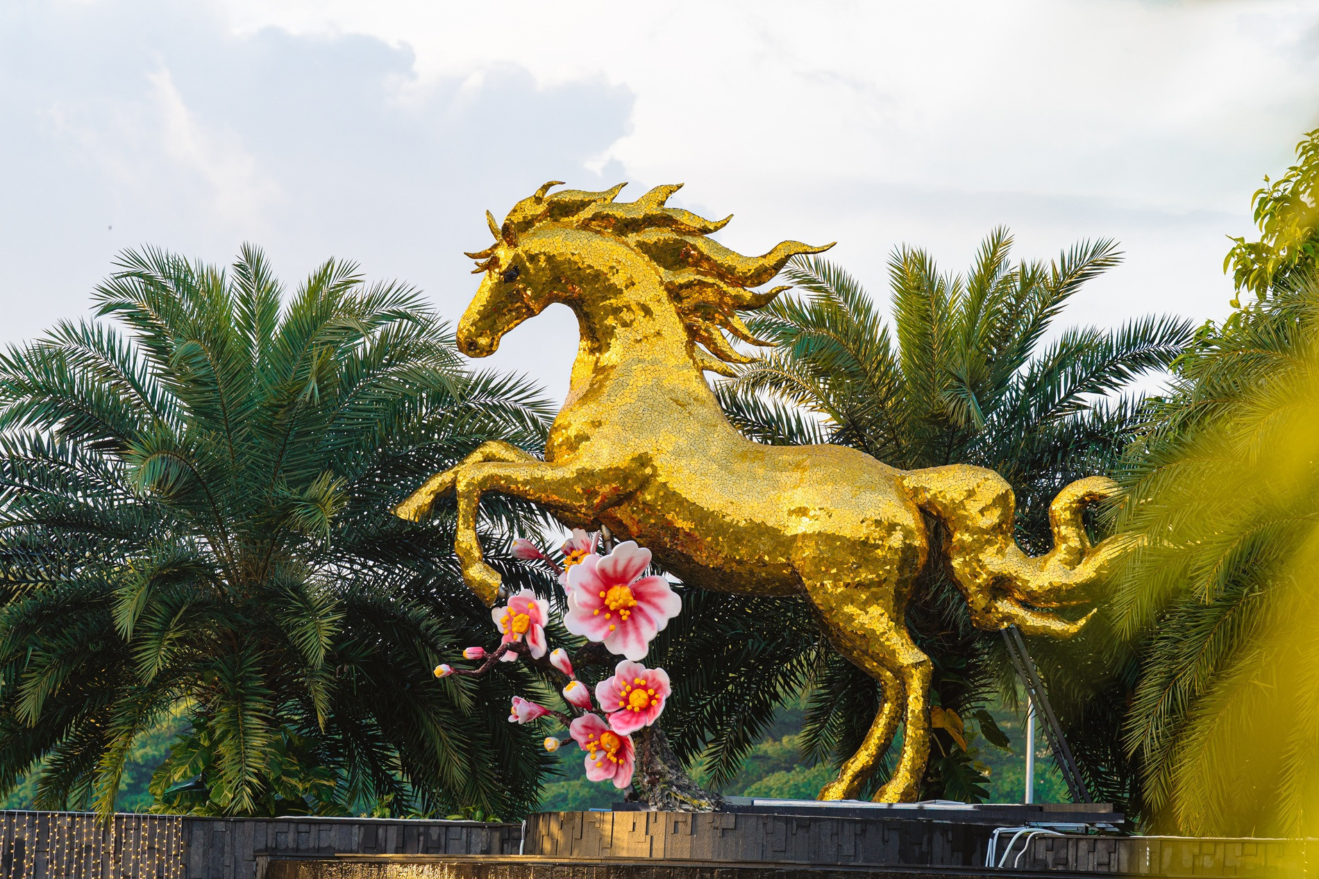 Copy of PRO04194.jpg