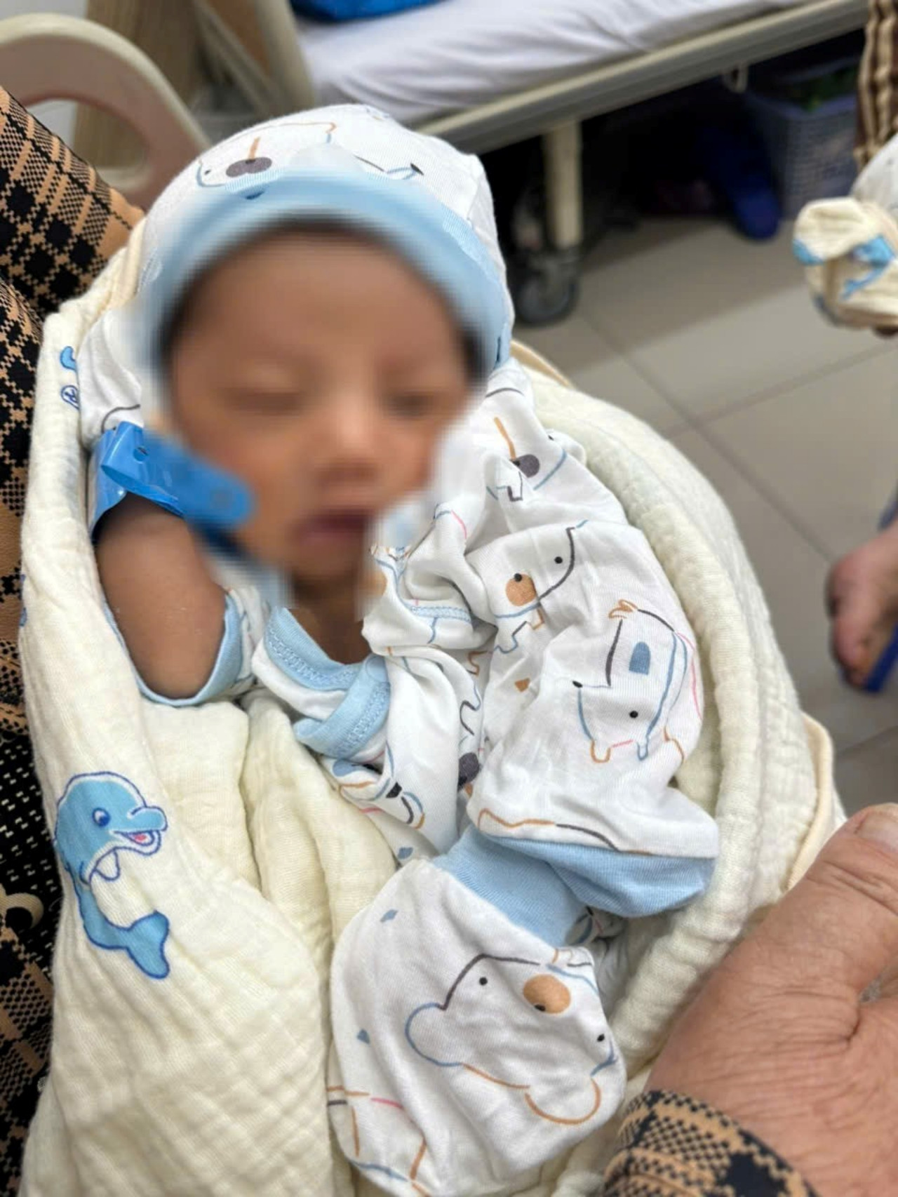 batchimg17675859287991767585957740