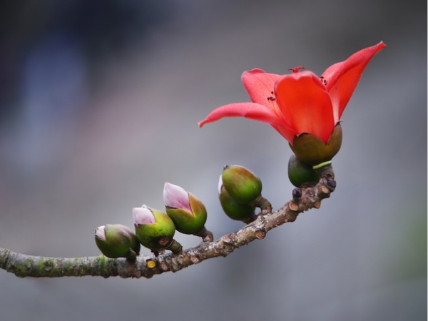 Bước qua tháng 12 âm lịch, 3 con giáp đổi đời giàu sang, rước hết Tài Lộc về nhà, phúc khí ngập nhà, tiền bạc dư dả khiến ai cũng ganh tỵ  - Ảnh 2