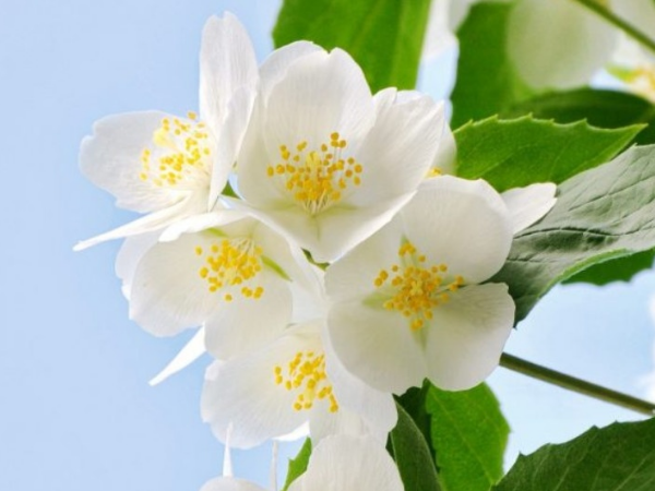 Bước qua tháng 12 âm lịch, 3 con giáp đổi đời giàu sang, rước hết Tài Lộc về nhà, phúc khí ngập nhà, tiền bạc dư dả khiến ai cũng ganh tỵ - Ảnh 3