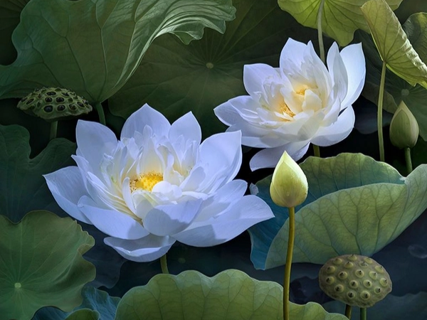 Đúng 8h ngày mai, 8/1/2026, 3 con giáp nằm không cũng hưởng trọn PHÚC LỘC, sống trong nhung lụa, hỷ sự lâm môn, tiền bạc cải thiện - Ảnh 3