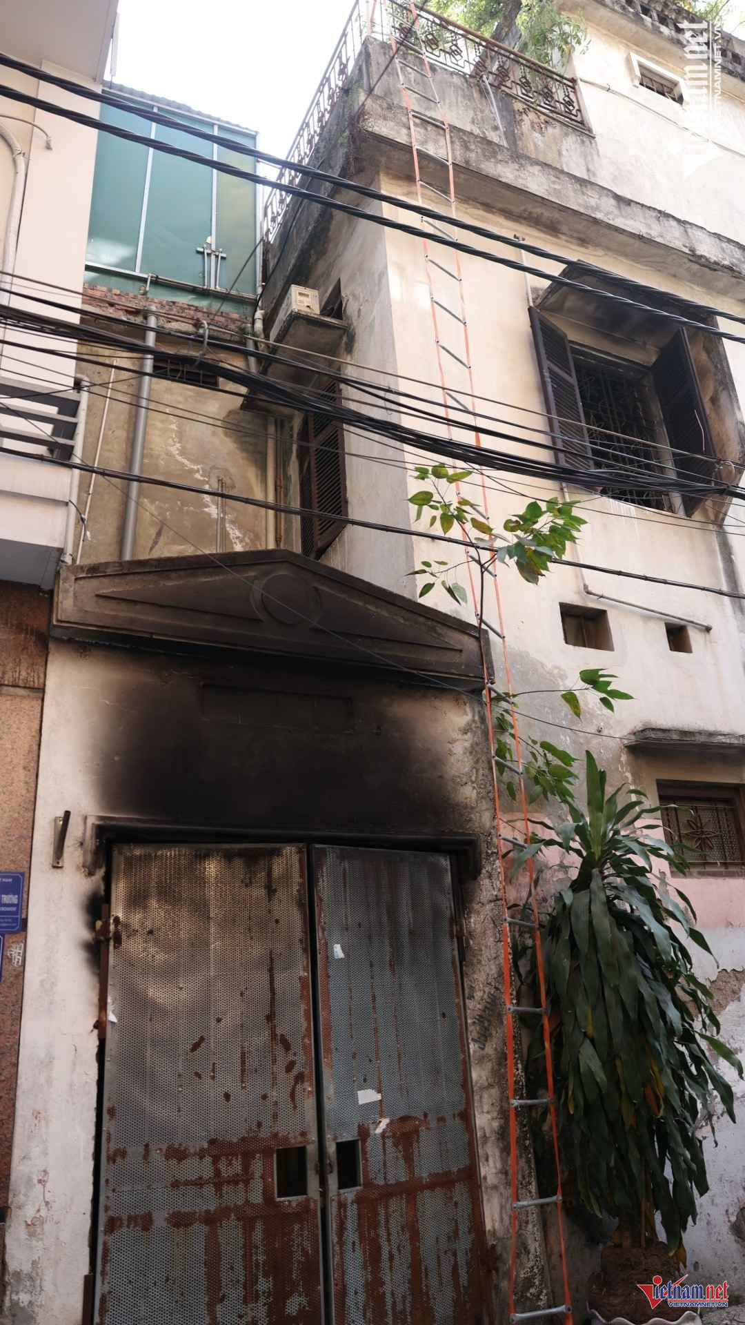 W-W IMG_6986.JPG.jpg