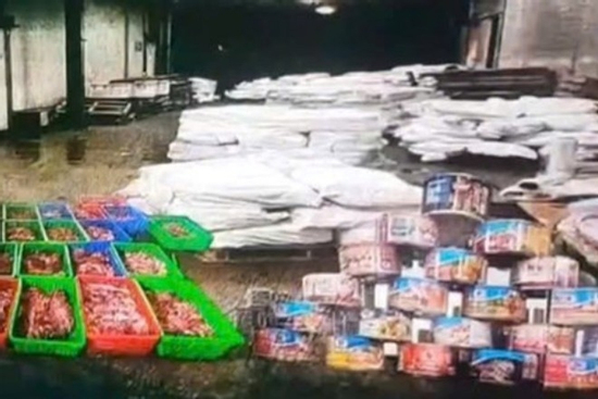 Hải Phòng: Khởi tố vụ dùng thịt lợn nhiễm dịch tả làm đồ hộp