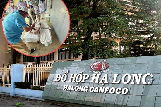 Vụ hơn 120 tấn thịt lợn nhiễm bệnh ôi thiu tuồn vào Công ty Đồ hộp Hạ Long: Người thu mua khai gì?