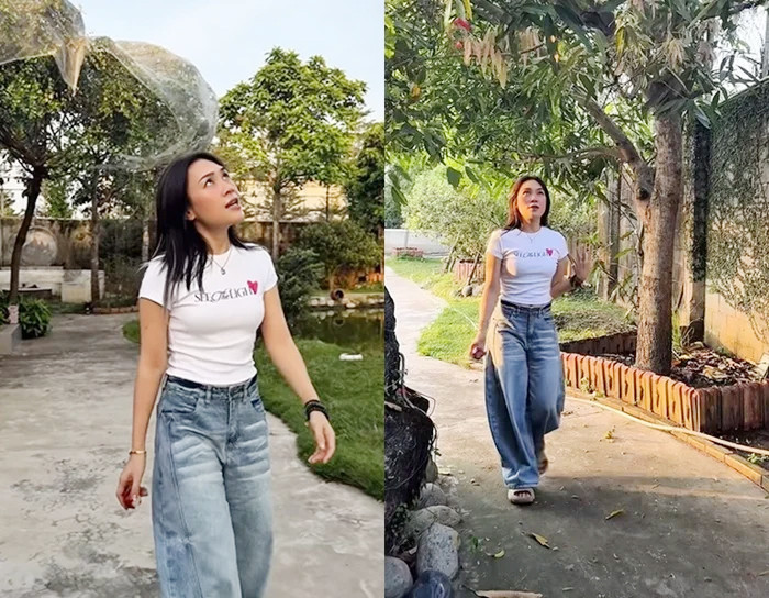 Thành quả không ngờ bên trong nhà vườn của Mỹ Tâm sau 4 năm - Ảnh 7.