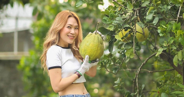 Thành quả không ngờ bên trong nhà vườn của Mỹ Tâm sau 4 năm