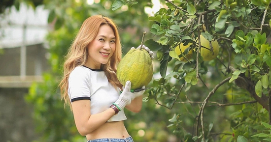 Thành quả không ngờ bên trong nhà vườn của Mỹ Tâm sau 4 năm