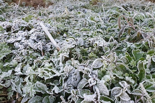 VIDEO: Băng giá xuất hiện tại một tỉnh miền Trung khi nhiệt độ xuống âm 5 độ C