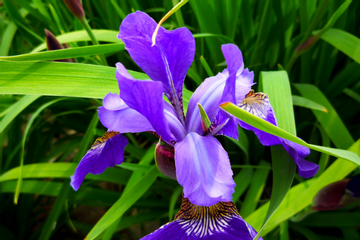 Trúng số độc đắc trong 7 ngày tới, 3 con giáp Vượng Tài Vượng Lộc, tiền tỷ tự động chạy vào nhà